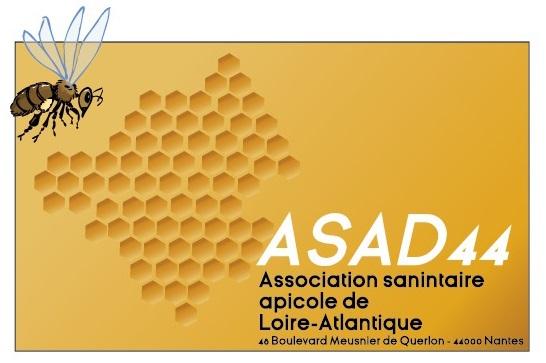 logo asad44