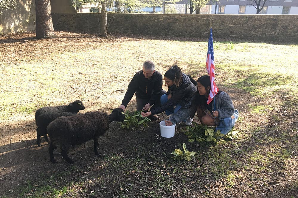 Inauguration des moutons avec élèves américains