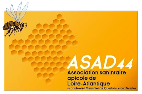 logo asad44