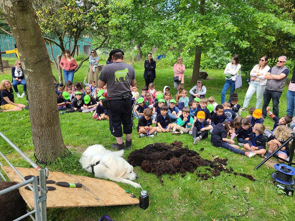 cours tonte du mouton